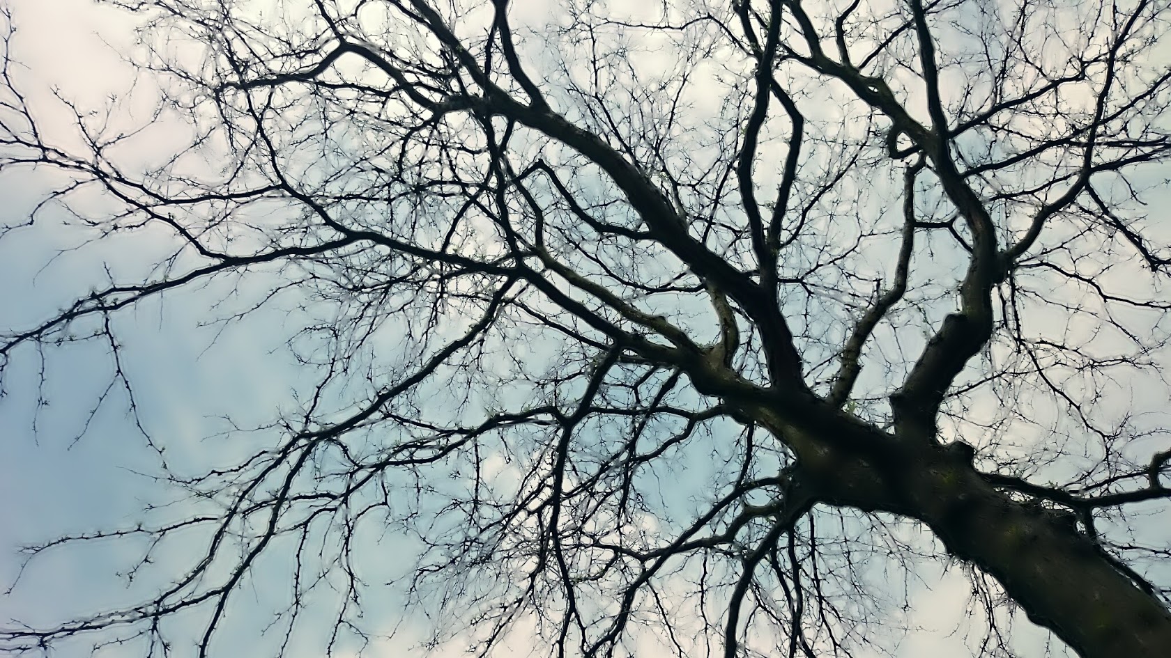 DSC_1299.jpg
