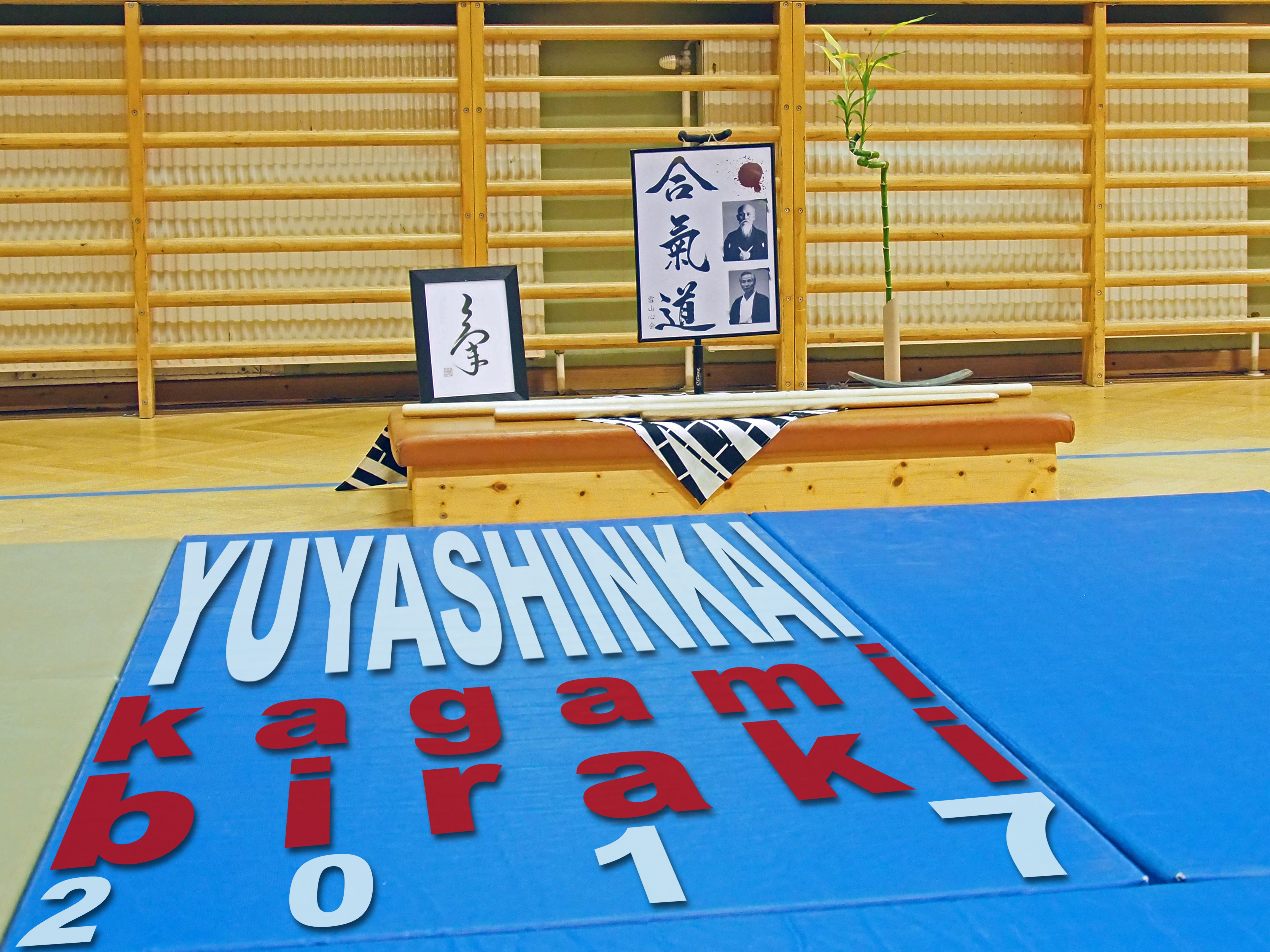 P1160008c.jpg